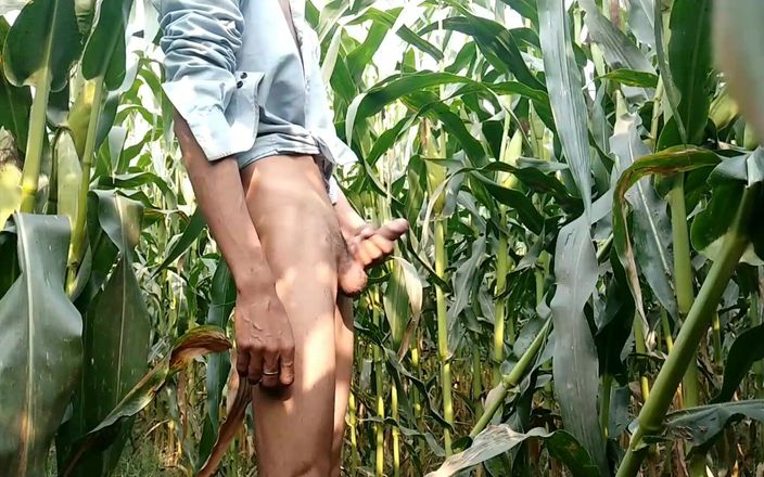 The thunder po: Indiana mostrando pau grande em campo de milho