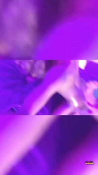 Wet Teaser