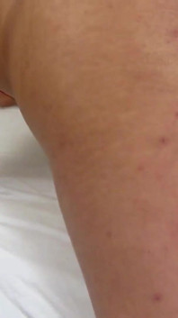 Rayla Rios is a t-girl with a giant cock masturbates and cums