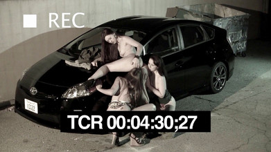 Radical Lesbian: Lesbienne op auto