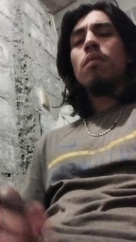 Rico lindo padrasto