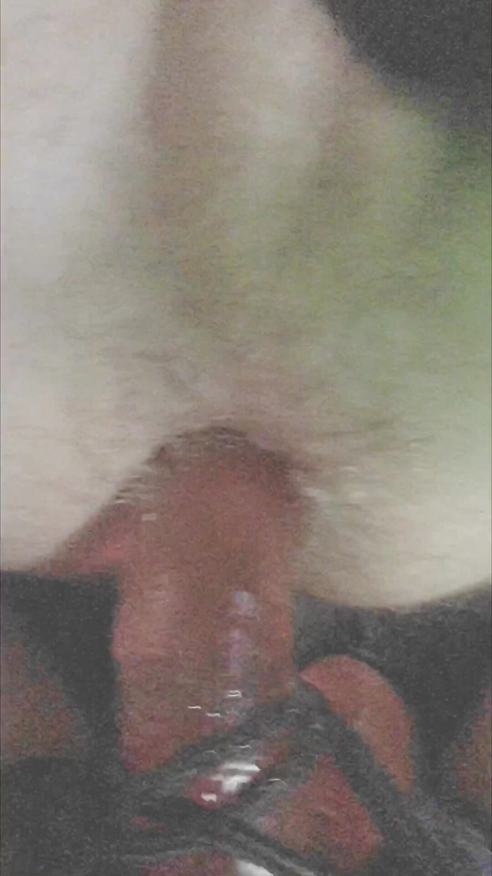 Nordic Roots & Teabeanie Scott: Dominování jeho zadku kompilace