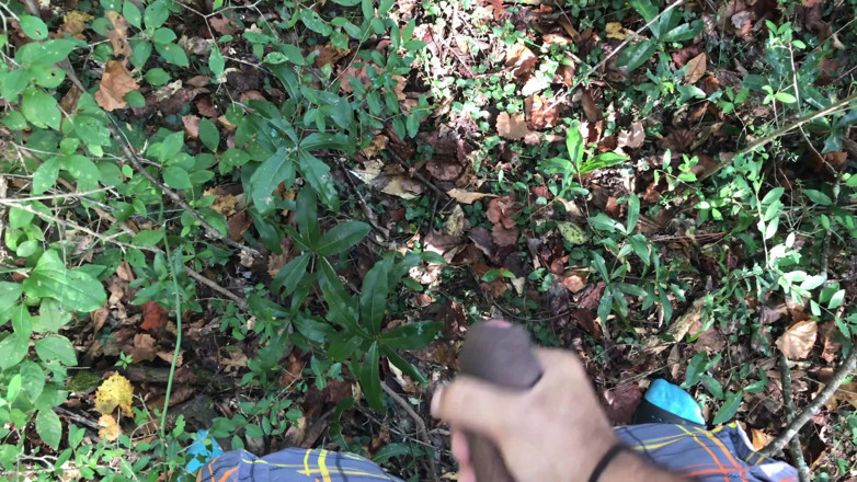 Arthur Eden aka Webcam God: Caminhada natural em primeiro plano (4K)
