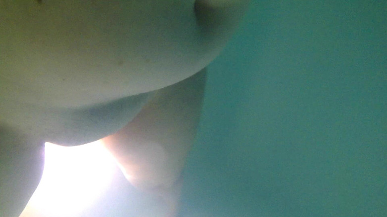 Florance Wimps: Podvodní