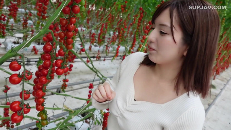 Studio Modern Shunga - JAV: Asian angel 7402