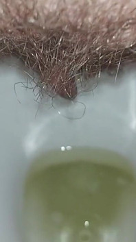 Saya buang air kecil di toilet