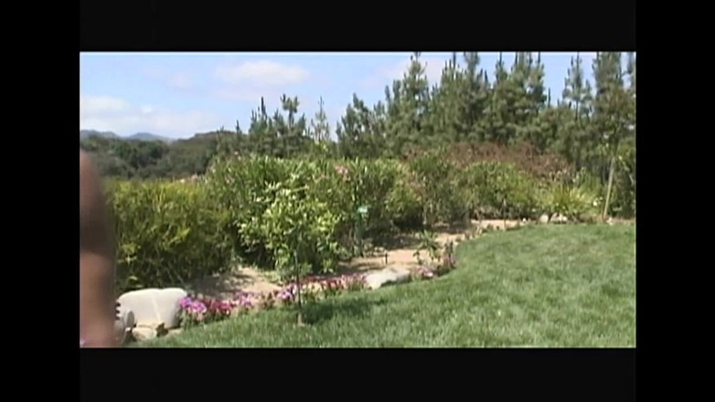 Forte Porno: 最も難しいフェラチオ:私の大きなペニスに唾を吐き、激しく吸ってください、ビッチ!!第1巻