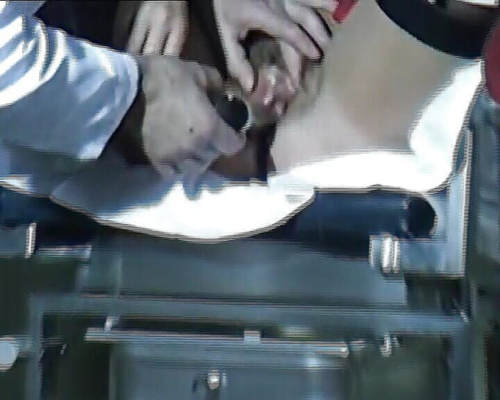 Deutsche Camgirls: Lubang basah wanita jerman yang lagi sange diperiksa sama dokter...