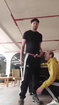 コンピレーション・デ・パイプ