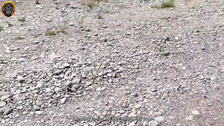 SrMono: Mi perdo nelle foreste del Sud e trovo una ricca...