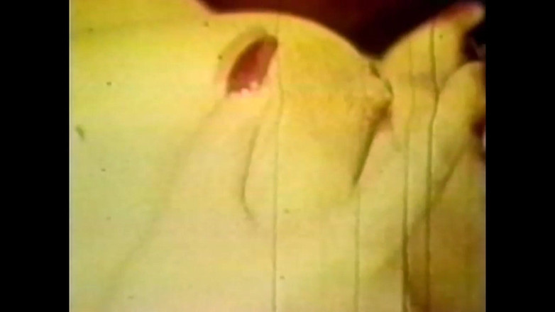 Vintage Usa: 拉丁性别