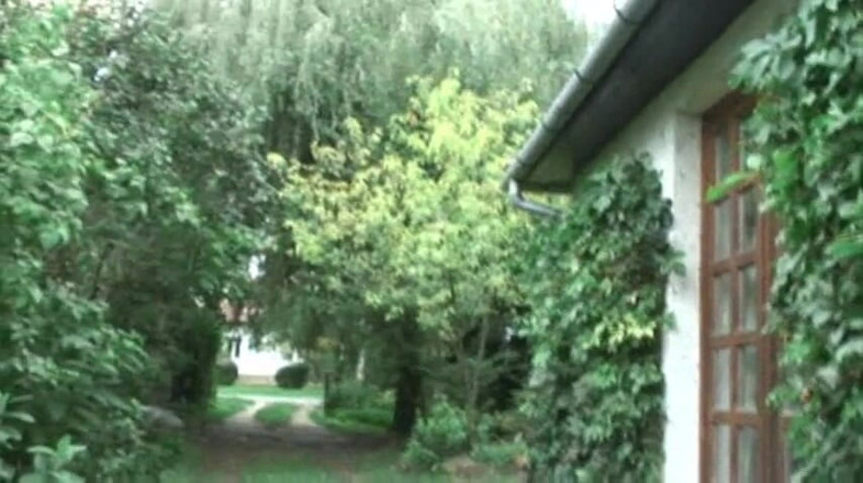 Popp Sylvie: Popp Sylvie is secretly in the neighbor's backyard