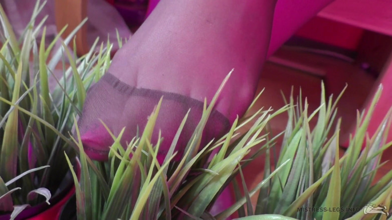 Mistress Legs: Gioca con le dita dei piedi in nylon riempita di...