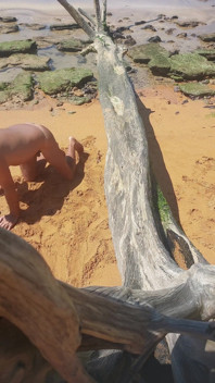 Ladysilva na praia nua mostrando sua bunda bronzeada e sexy