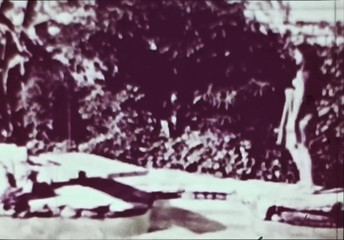 Close Encounter Vintage: Vintage porn retro erotic theatre - wild sex 5