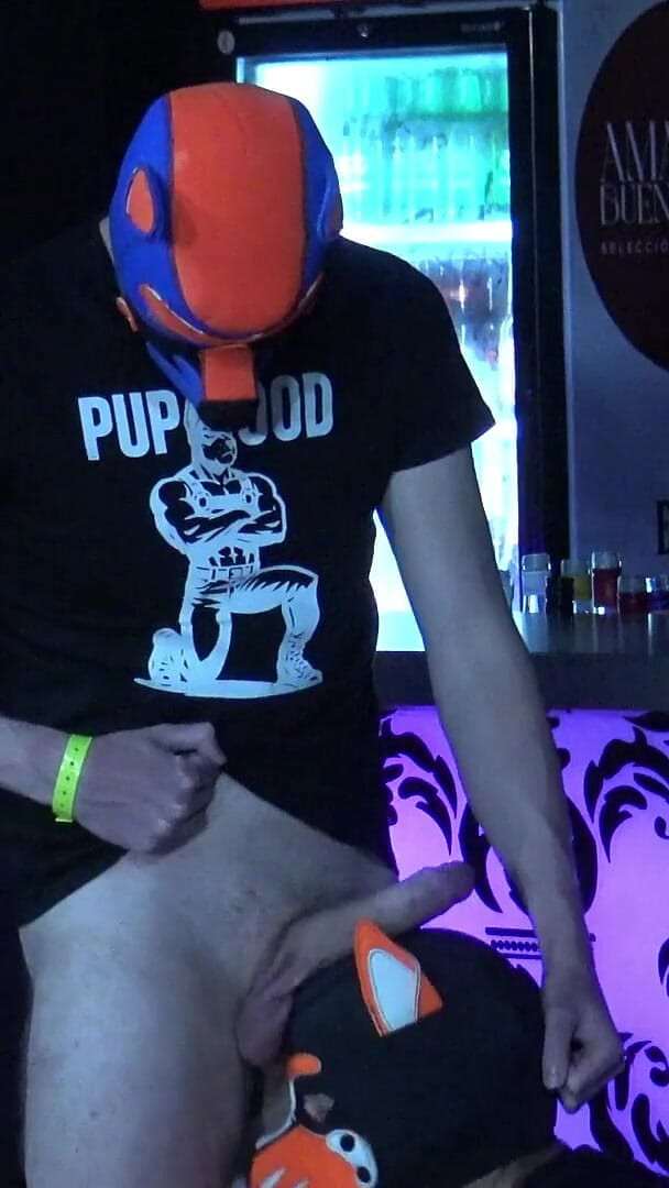Action men: Kinki Kiki Pup