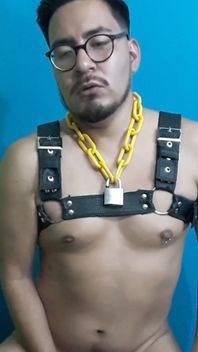 I Love Using This Harness, I Feel so Slutty!