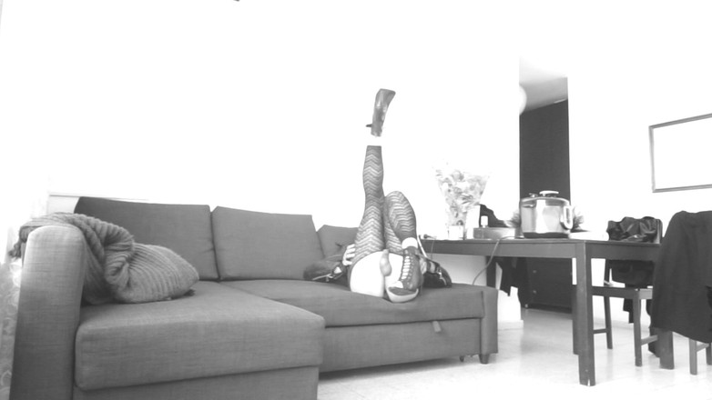 Voyager: Un entrenador de rodillos cruzados presume. vía webcam.