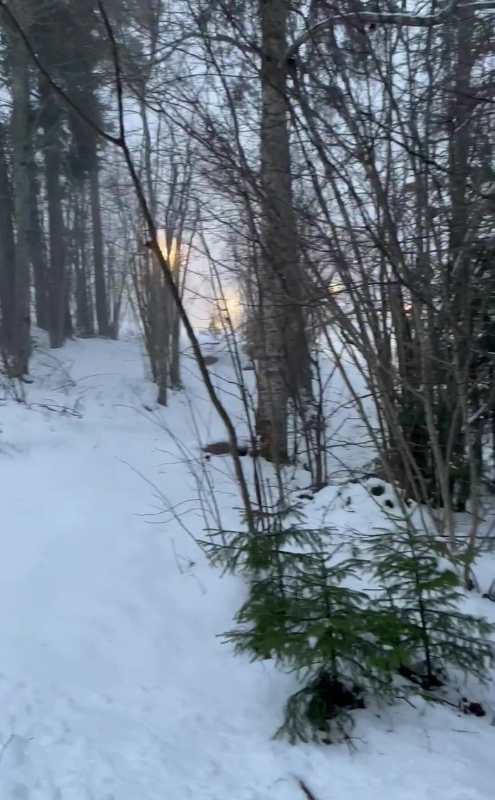 GayDuplo: Lyžování s mým čůrákem a být velmi zlobivá