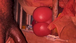 बड़ी गांड कंपन सारे लंड वीर्य के लिए पति