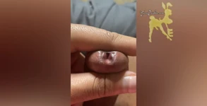 Schätzchen Nation Xxxclusive Ich bin so nass, dass ich so sehr ficken will. Ich will gefickt werden. Ich will, dass mein saft deinen saft befeuchtet