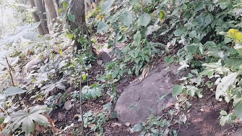 Graju1244: A Girl Talking Dirty Words for Fucking with Her Stranger...