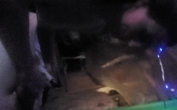 New 3some Partner POV Blowjobs