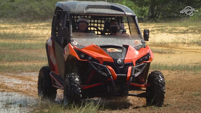 California TV: Amanda souza ditindik - 5 teratas