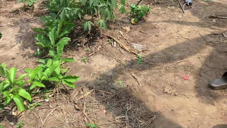 Sexydaddy: This Power Bottom Show off His Sloppy Asshole Before Been...