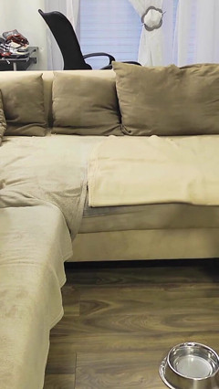 Petplay with Tranny Mean Girl! Stupid Pet Is Only Allowed to Hump the Couch!