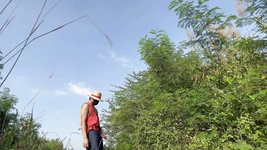 Luffy Big Cock Jerk off Outdoor.
