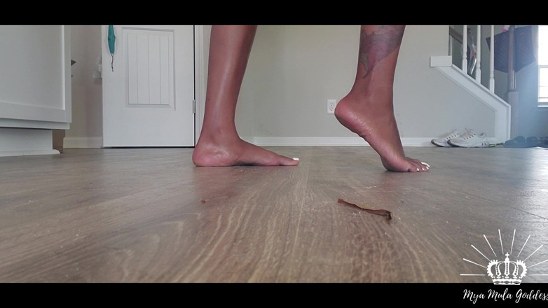 Mya Mula Goddess: Pemujaan kaki kotor roomba human roomba