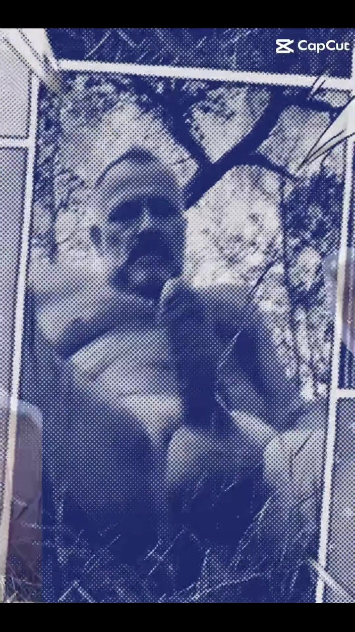 Daddybearvlc: 我顽皮的抖音之一，我喜欢这些。