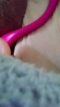 Lovense Toy and Another Toy