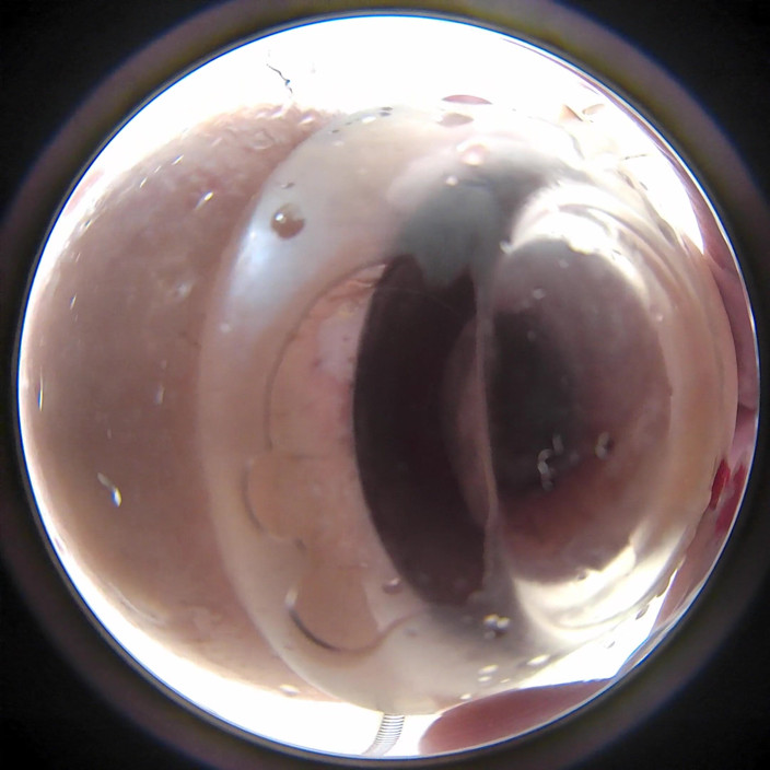 Lizzy Yum: Lizzy Yum 2022 # 64, gloryhole # 2 colon e bacio anale telecamera