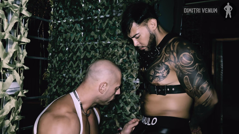 Dimitri Venum: Nelle backrooms