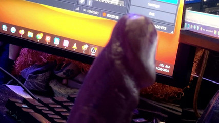 JJ7779: Sessione di bordatura 31