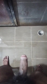 Indický bigg péro