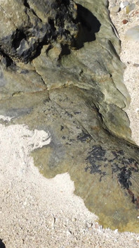 Nudist Girl on Beach Get Hard Fuck by Stranger in Pussy a Lot Cum and Great Orgasm!