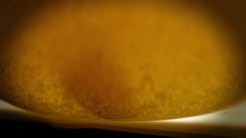 Julie_Bliss: Giantess Bunny Bliss