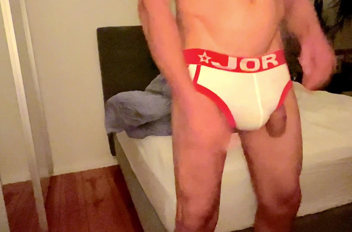 Polvin: Gejsa