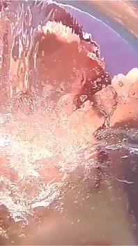 Summer splash - pekerjaan cincin - tanpa kondol ganas
