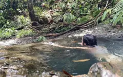 Mijn stiefdochter in de rivier filmen