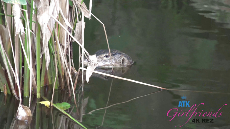 ATK Girlfriends: バーチャルバケーションティオマン島エレナコシュカ6/6