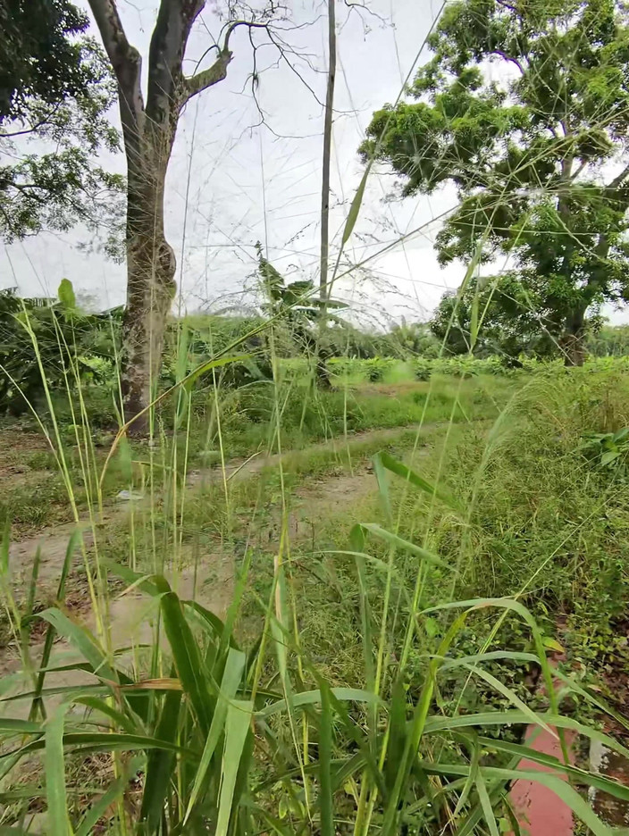 EMY_AND_JONH: 그의 자지를 빨고 야외에서 나를 따먹게 하고 싶었는데, 정말 좋아해