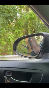 What Would You Like to Do in the Car with Me?