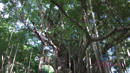 ATK Fans (Girlfriends): Vacanze virtuali in Hawaii con Rachel James parte 4