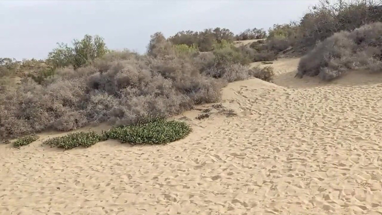 CoraBitch: Corabitch in den Dünen von Maspalomas 3