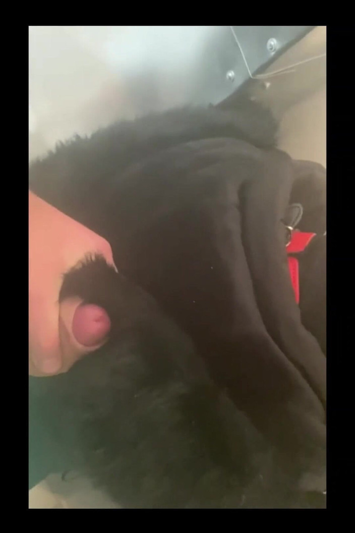 MilfyCalla: Les aventures de Milfycalla