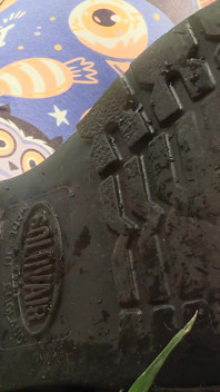 Tiny Boot Follower